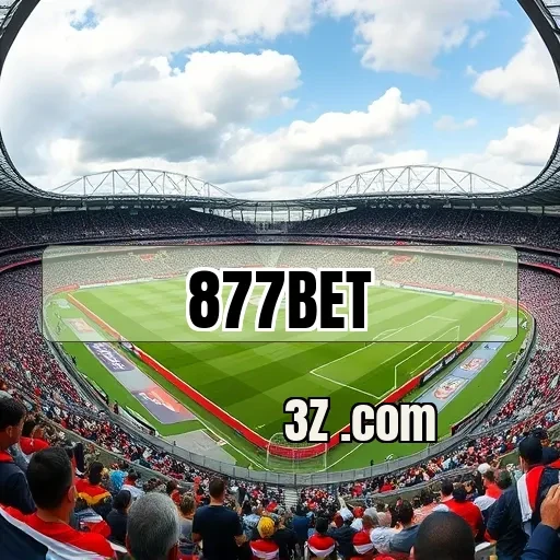 877 bet Programa de Fidelidade